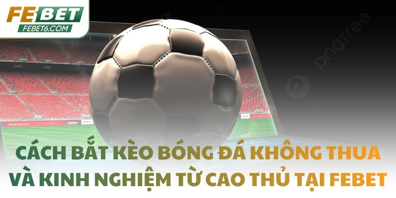 Cách bắt kèo bóng đá không thua và kinh nghiệm từ cao thủ tại FEBET