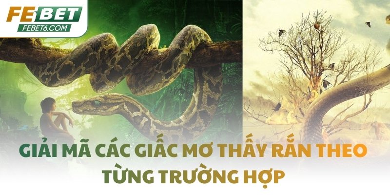 Giải mã các giấc mơ thấy rắn theo từng trường hợp