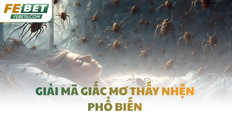 Giải mã giấc mơ thấy nhện phổ biến
