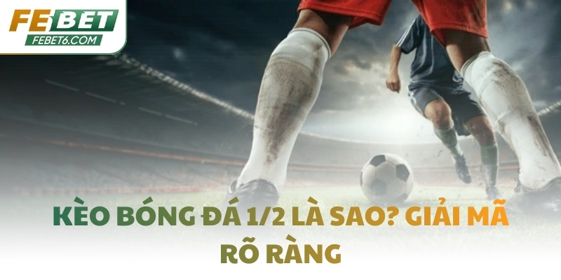 Kèo bóng đá 1/2 là sao? Giải mã rõ ràng