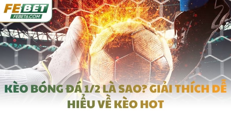 Kèo bóng đá 1/2 là sao? Giải thích dễ hiểu về kèo hot