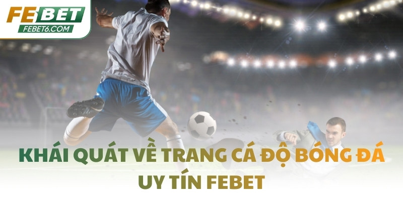 Khái quát về trang cá độ bóng đá uy tín FEBET