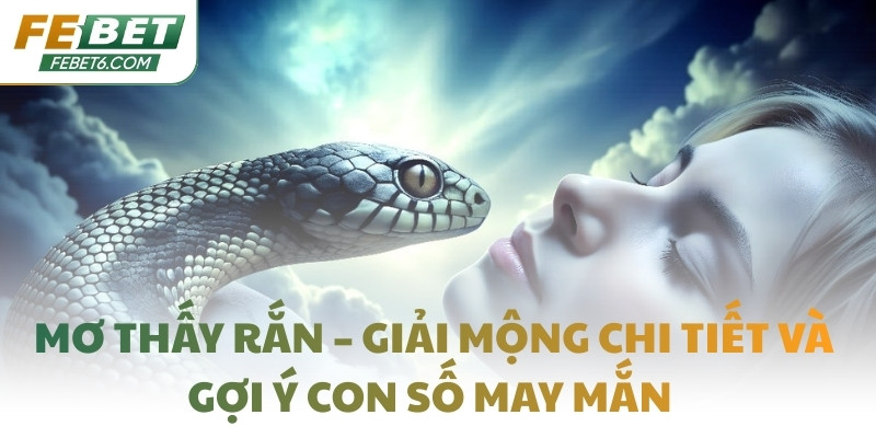 Mơ thấy rắn – Giải mộng chi tiết và gợi ý con số may mắn 