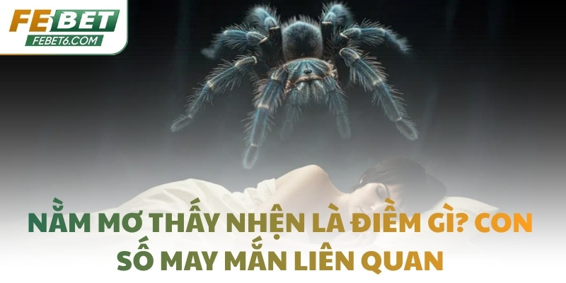 Nằm mơ thấy nhện là điềm gì? Con số may mắn liên quan